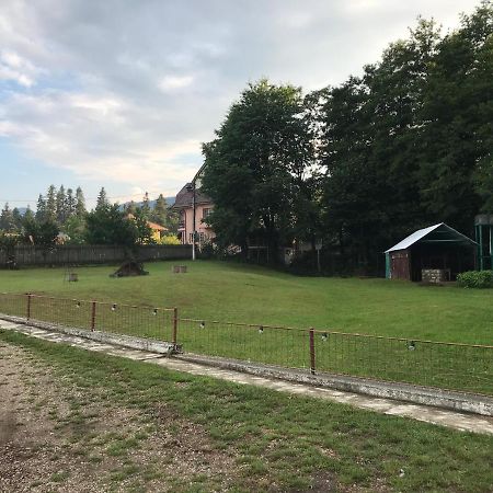 Casa Postolache Vandrarhem Soveja Exteriör bild