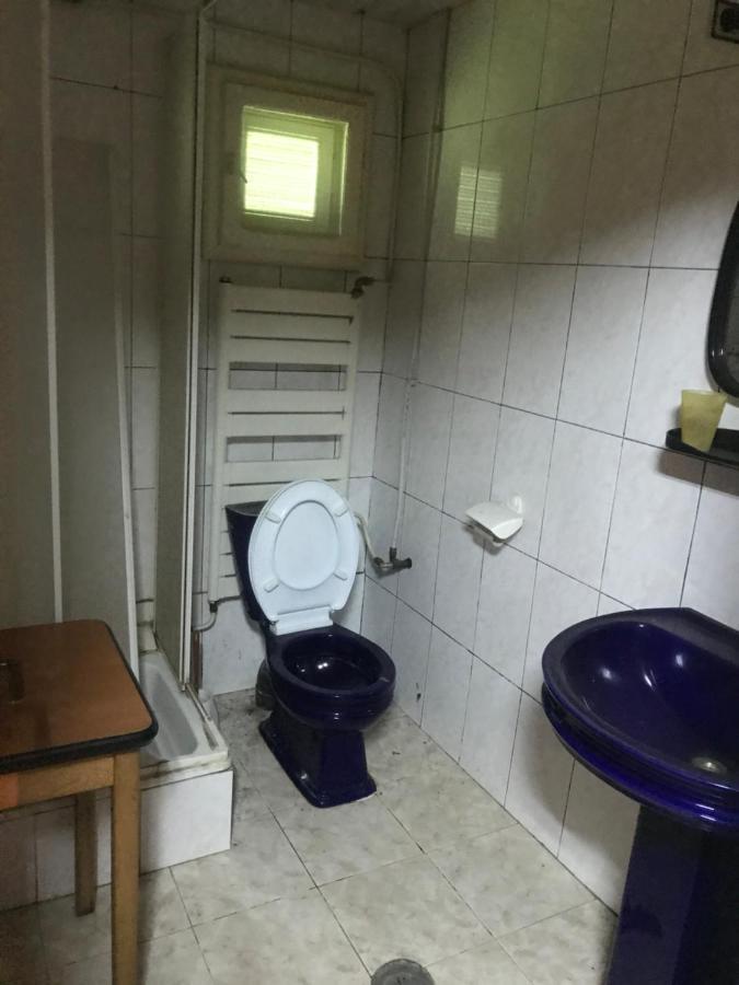 Casa Postolache Vandrarhem Soveja Exteriör bild
