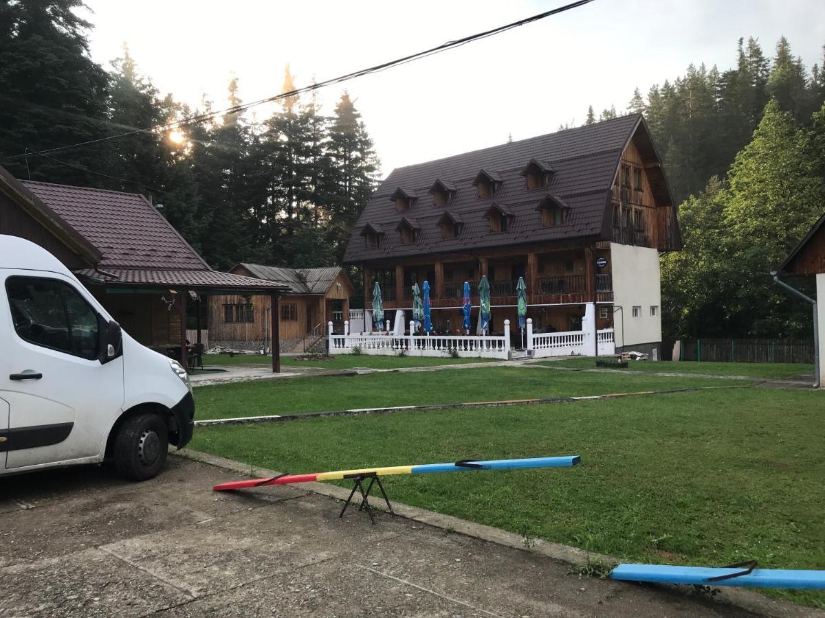 Casa Postolache Vandrarhem Soveja Exteriör bild