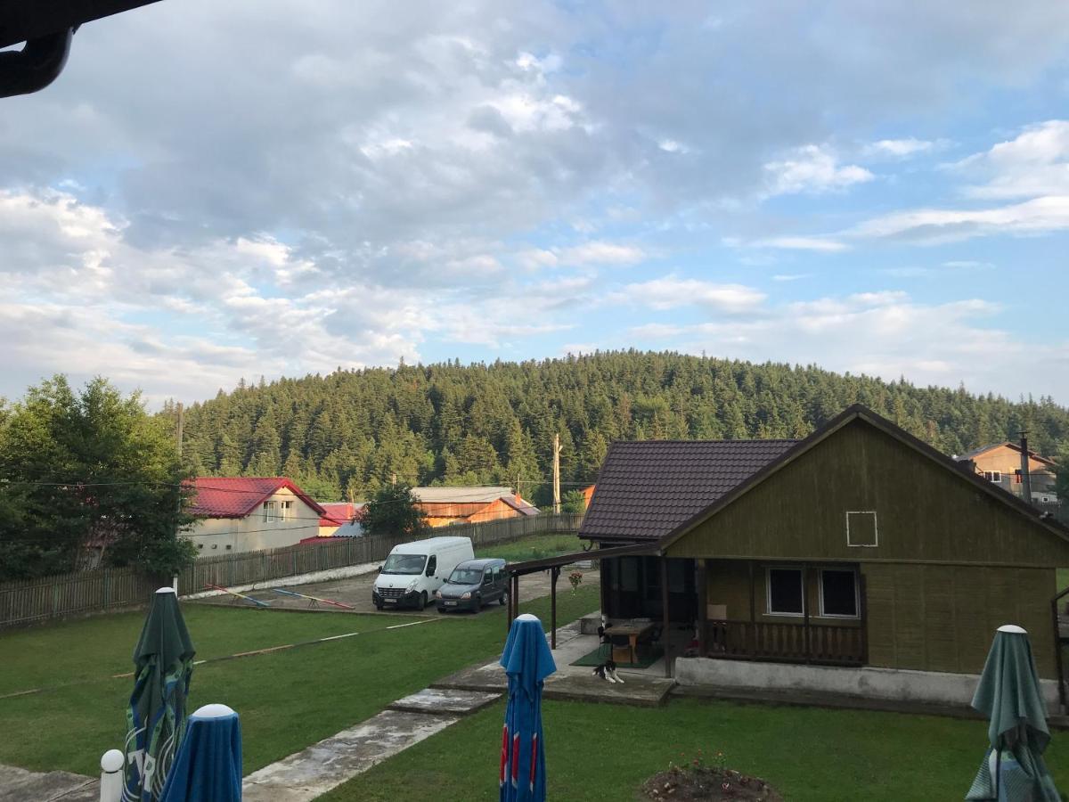 Casa Postolache Vandrarhem Soveja Exteriör bild